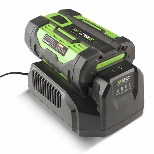 Alternative view of EGO akulaadija standard 210W