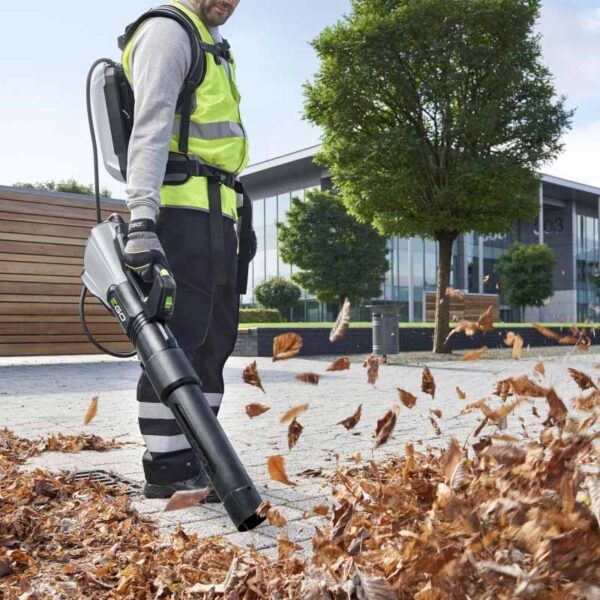 Akulehepuhur EGO LBX6000 PRO