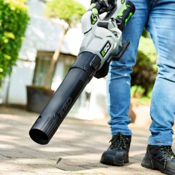 Akulehepuhur EGO LB5804E komplekt
