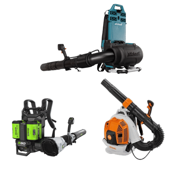 Seljas kantavad puhurid